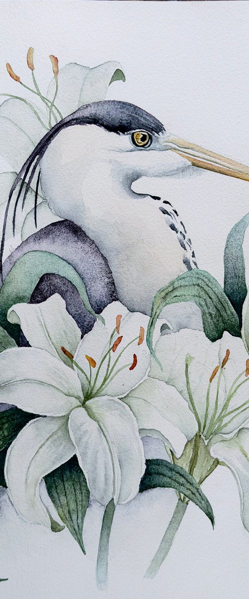 Grey Heron Among White Lilies by Yuliia Malkina Bohuslavska