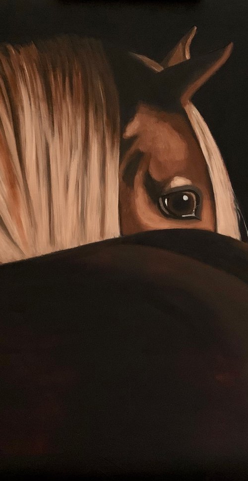 Horse Looking Back by Caroline Millott