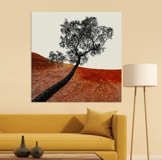 Uluru Tree