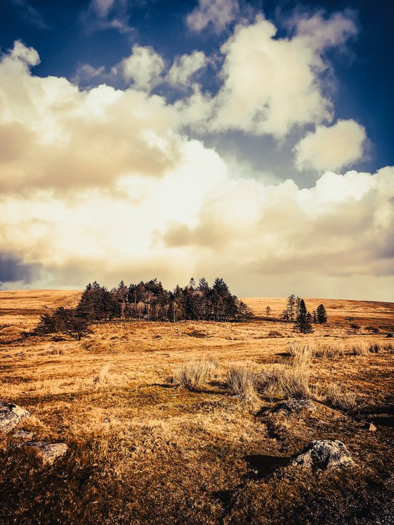 Sheepstor, Dartmoor - A4