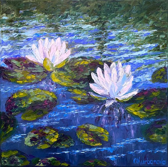 Pond lilies