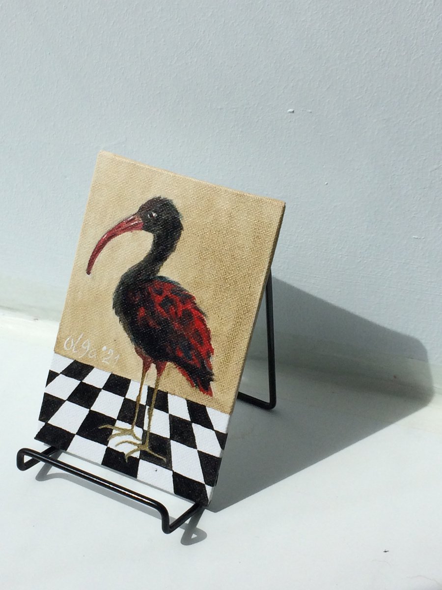 Bird portrait of black Ibis on a chessboard - Gift idea for bird lover by Olga Ivanova