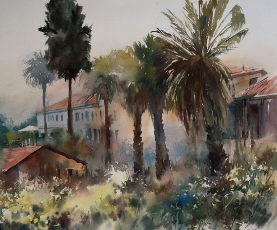 Jerusalem Landscape