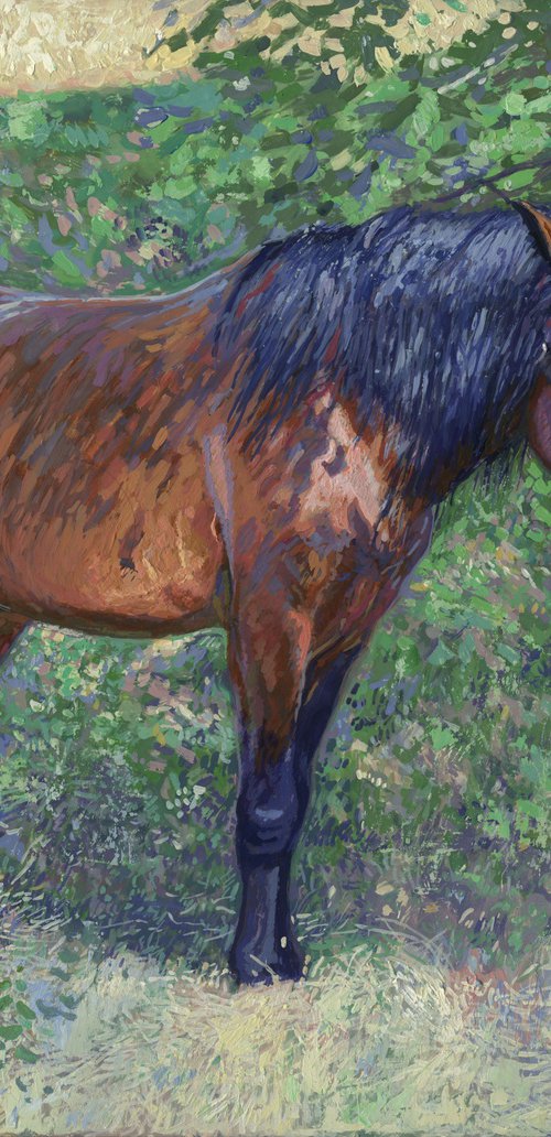 Horse in the shade of trees by Simon Kozhin