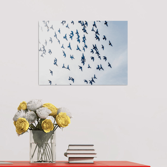 Birds #1