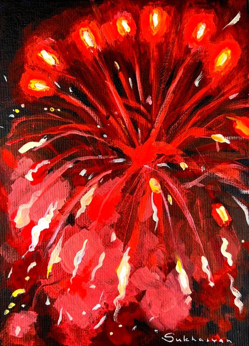 Fireworks by Victoria Sukhasyan