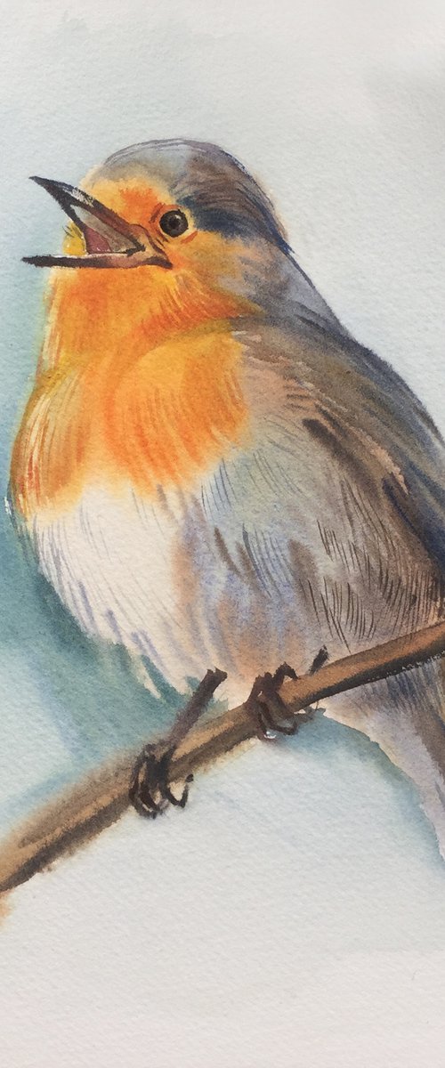 Robin bird. Painting with a bird. Painting for her by Natalia Veyner