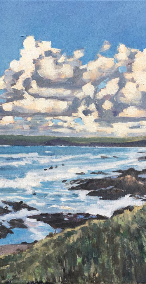 Pentire Point from the coastal path by Louise Gillard