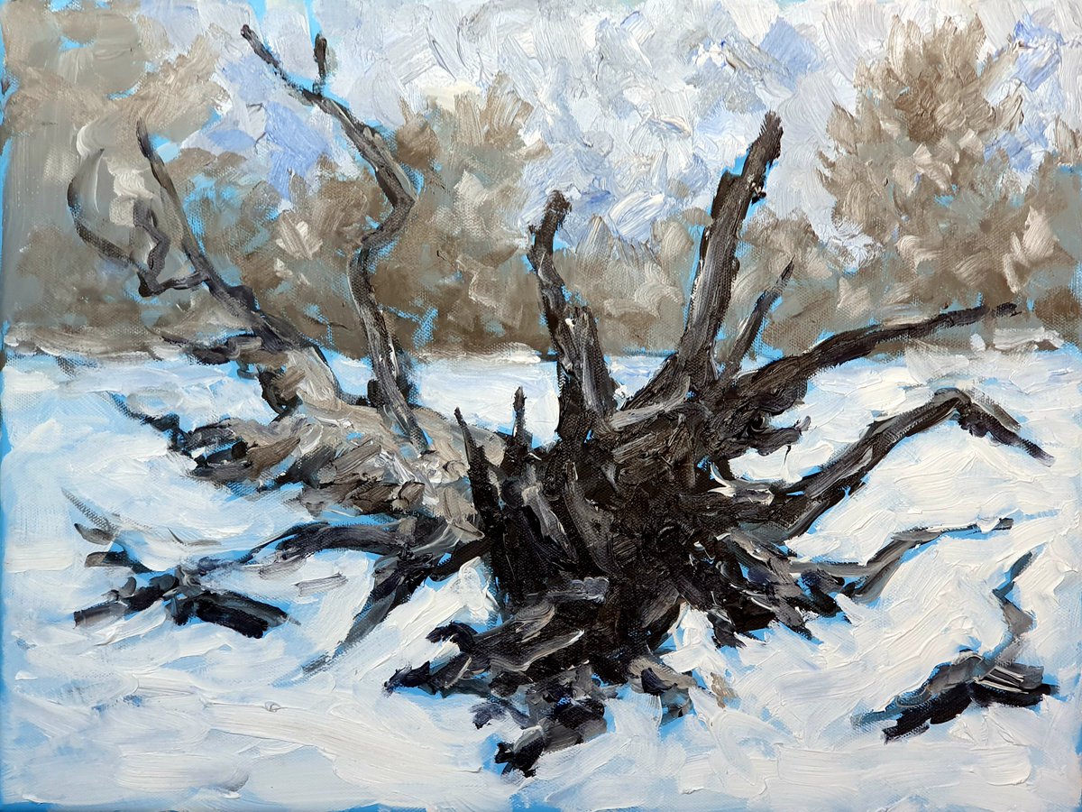 Dead trees in winter 1 by Colin Ross Jack