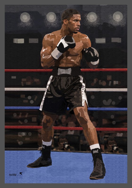 THE BOXER 2638