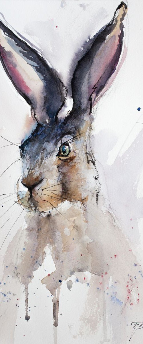 Watercolour Hare by Tomasz Mikutel