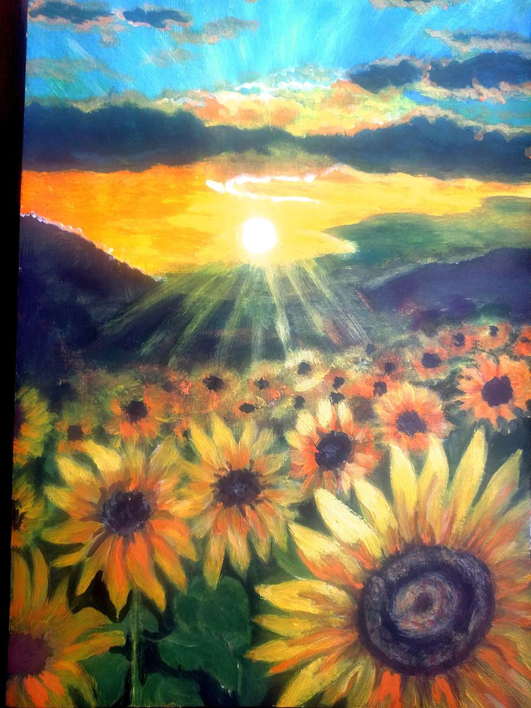 Sunflower Field By Anisia Grigor Artfinder