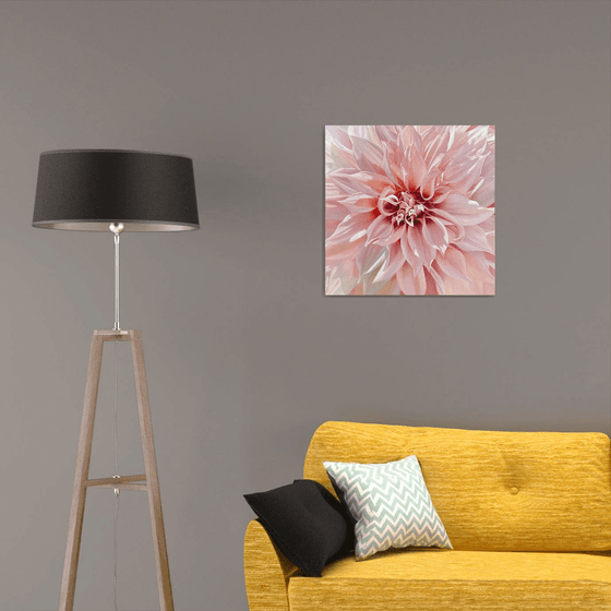 Timeless Beauty. Dahlia