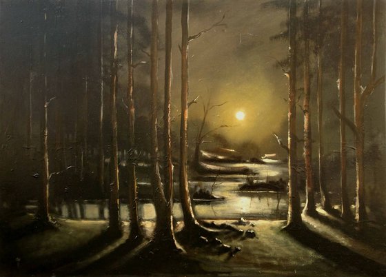 Sunset At Forest