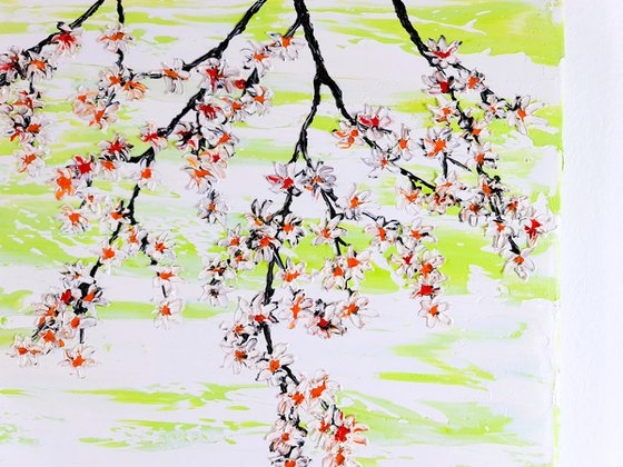 Cherries in the spring 2