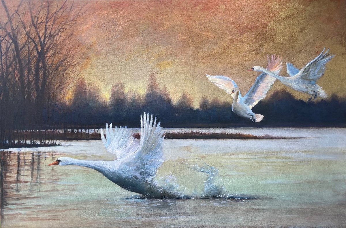 Impressionistic Landscape Oil Painting By Simon Jones, 36 X 24", Swan Lake Dawn, Original Artwork