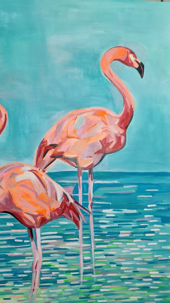 Flamingos