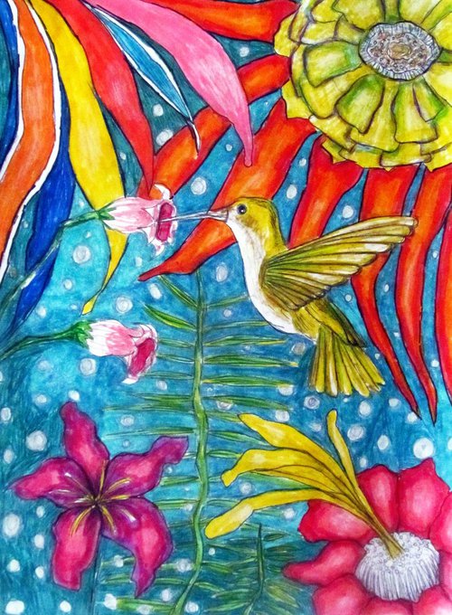 kolibri by Nektaria Giannoulakou