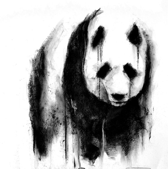 panda