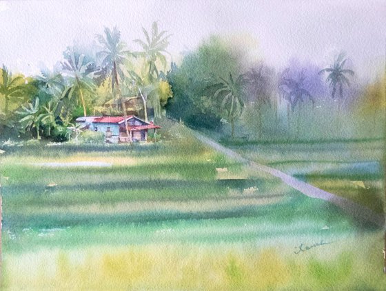 House in rice fields