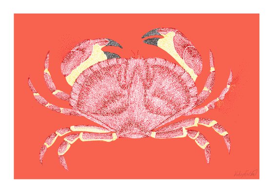 Crabbing - Crap Stippling Illustration