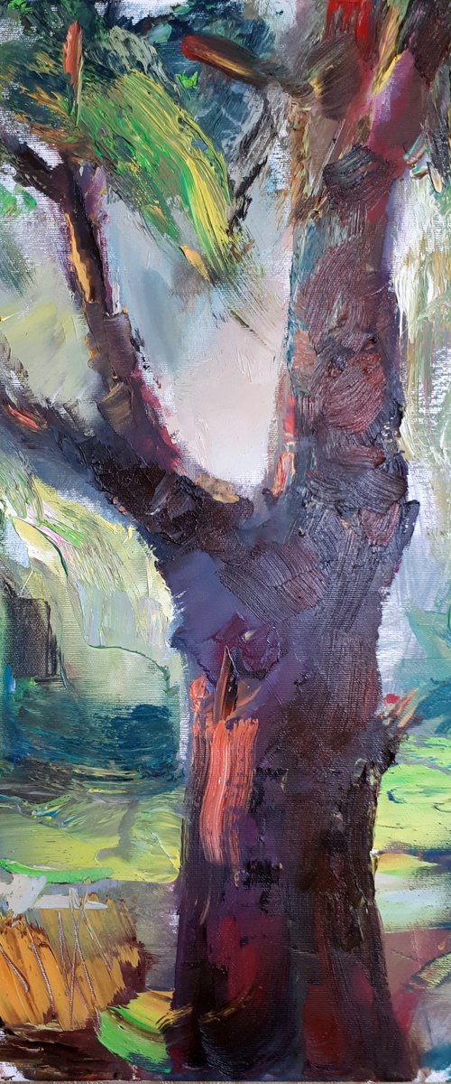 Pine... / ORIGINAL OIL PAINTING by Salana Art Gallery
