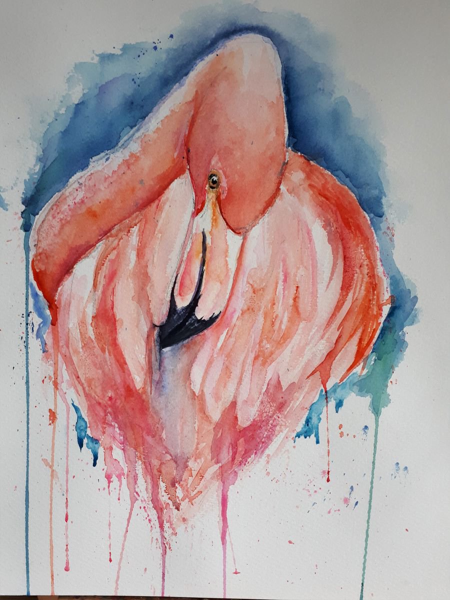 flamingo by Sue  Green