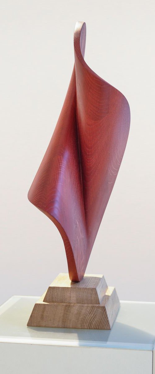 "Deformation of the red circle" by Andrij Savchuk