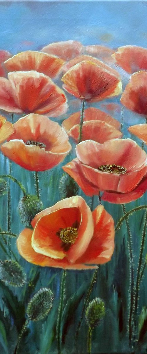 Poppies by Oleg Riabchuk