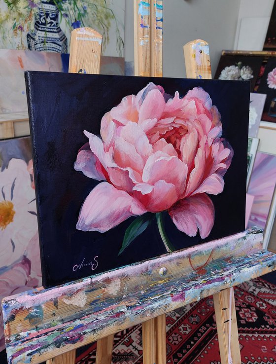 Radiant Peony