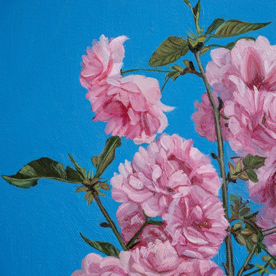 photorealism - cherry blossoms