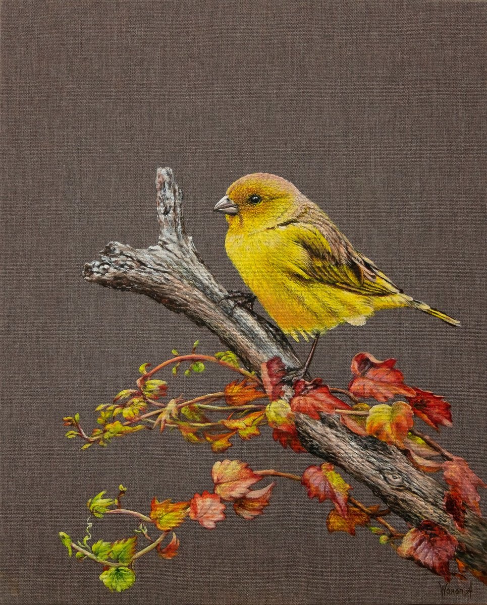 The Bird. Yellow Canary. by Anastasia Woron