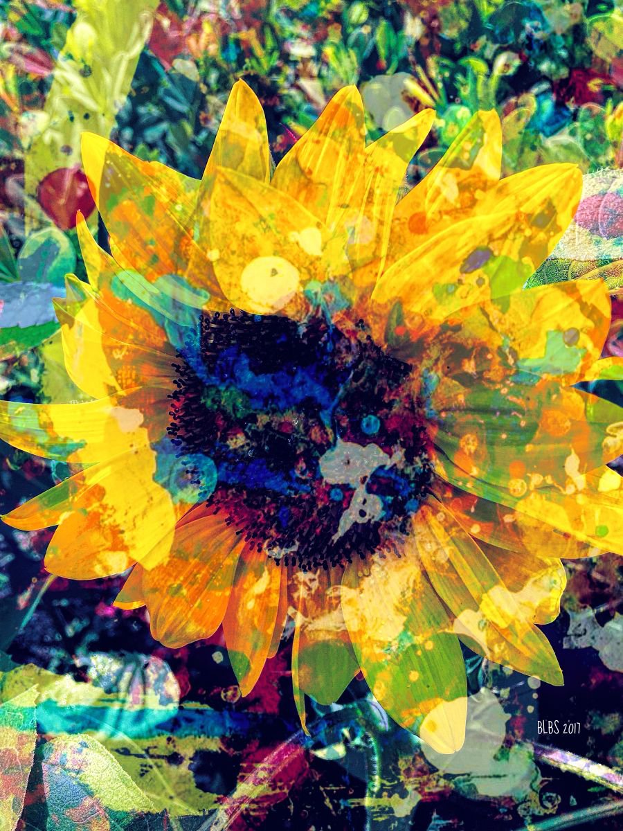 Sunflower Batik by Barbara Storey