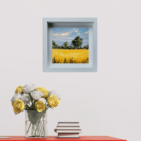 Golden fields of Summer