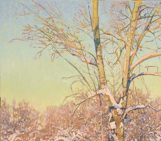 Poplars in February. Tsaritsyno
