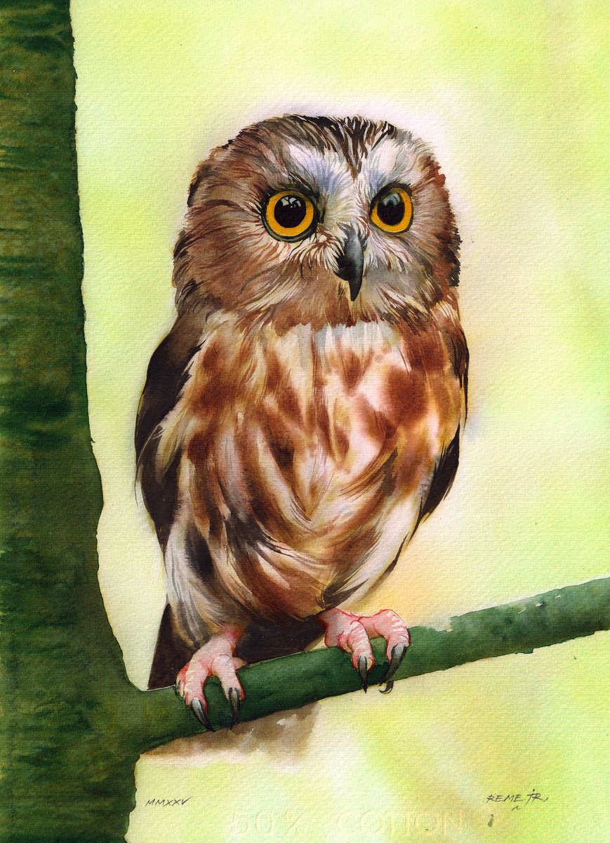 Impressionistic Animal Watercolour By Reme Jr., 10 X 14", Little Cute Owl, Original Artwork
