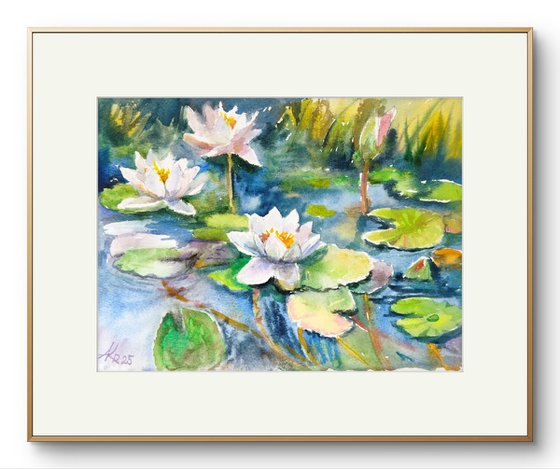 Serene water lilies