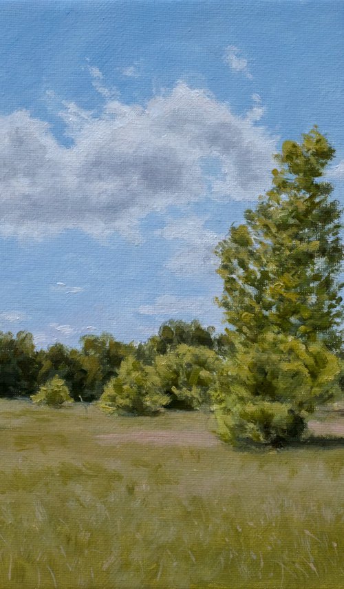 Bar Bushes II - The Calm of Summer Fields by Dejan Trajkovic