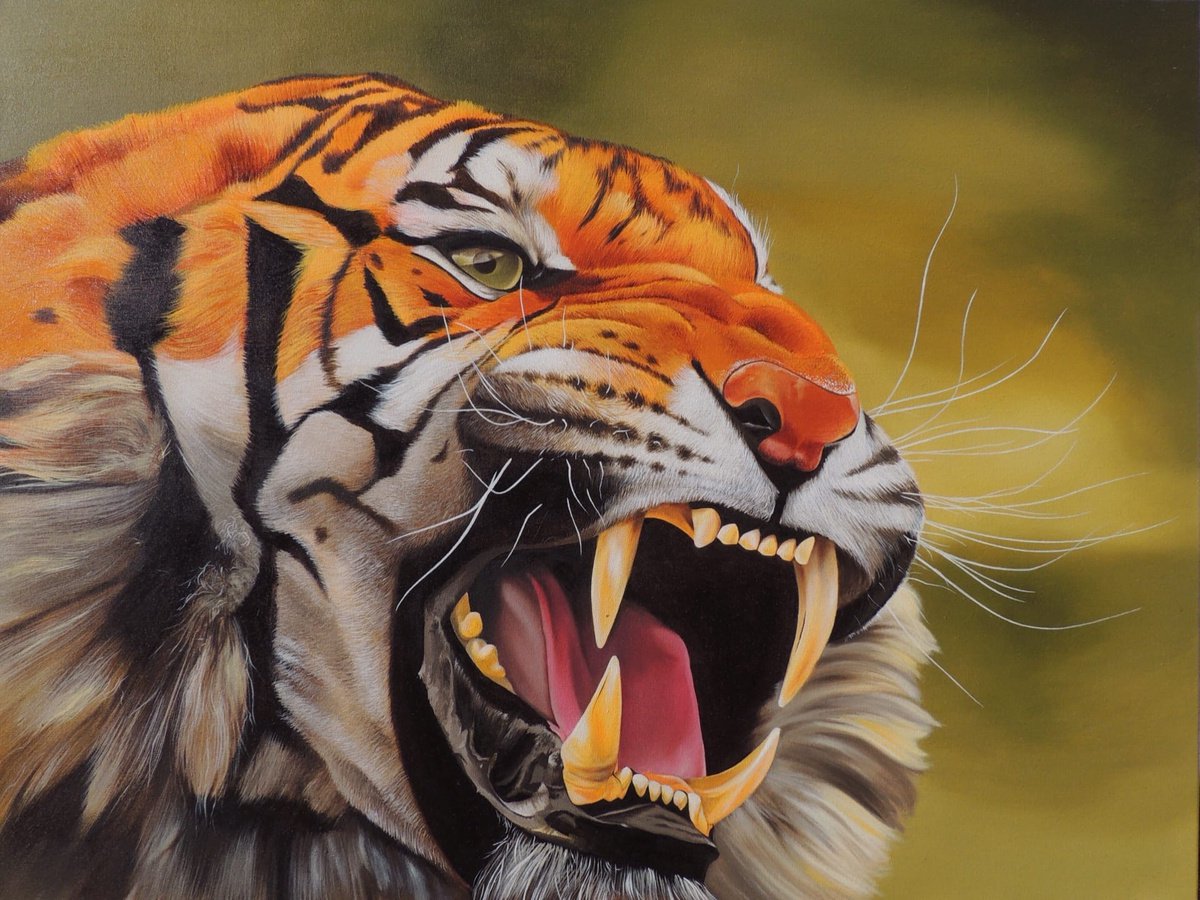 The tiger growls by Kakajan Charyyev