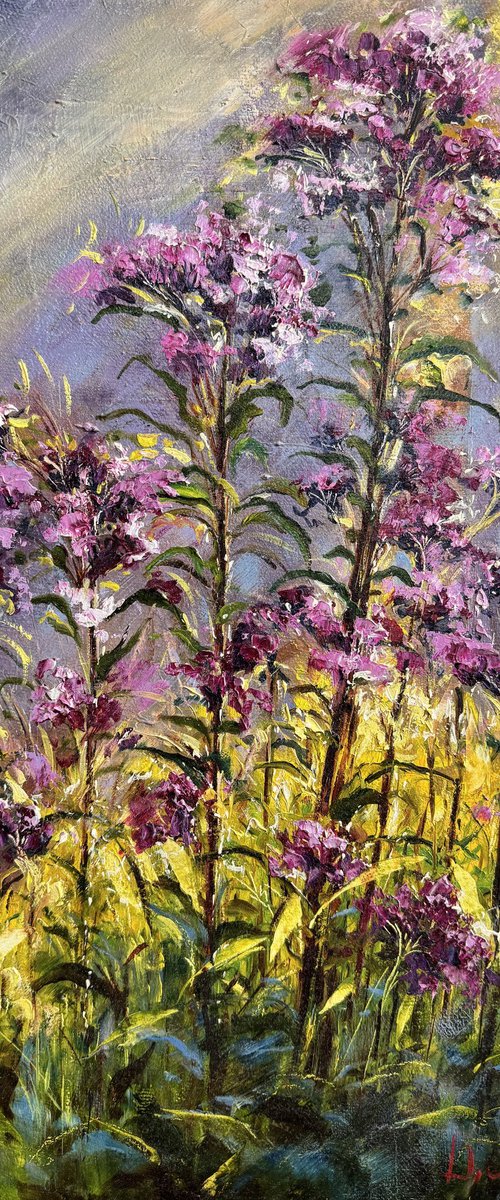 Meadow Flowers by Diana Malivani