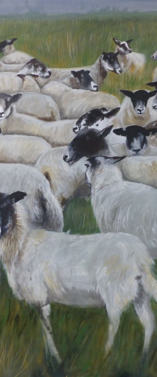 Flock by Amanda Lakin Art