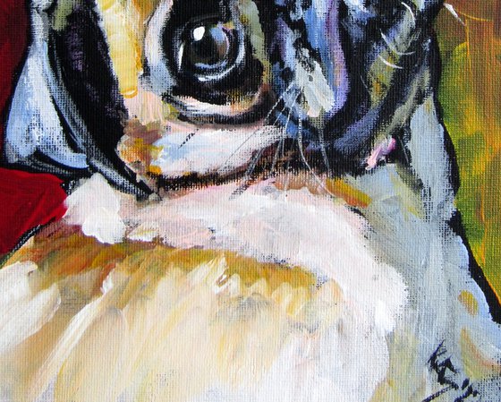 Cute pug