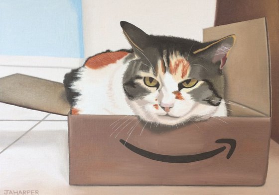 Cat in an Amazon Box