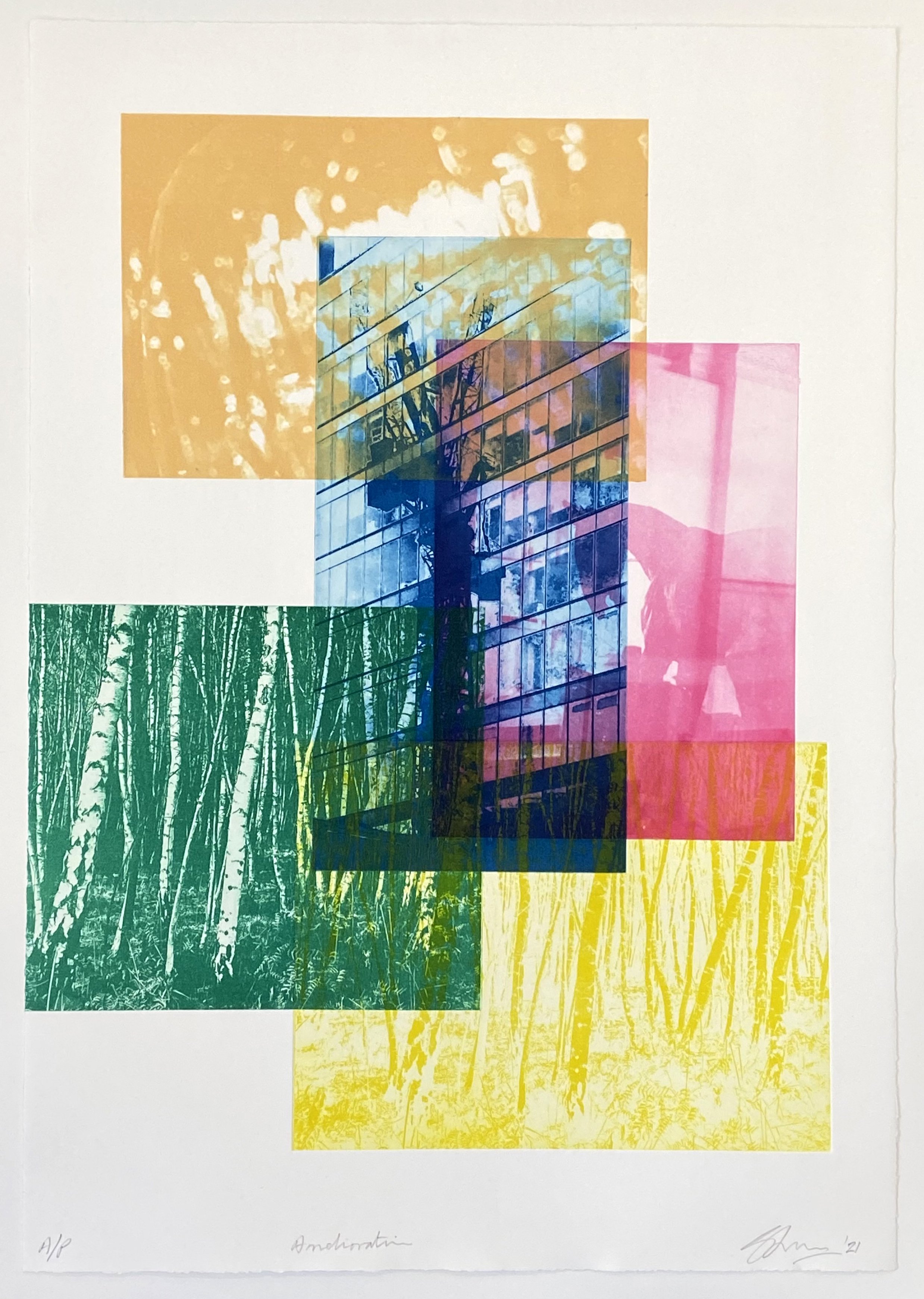 Etchings & Engravings , Amelioration I By Simon Lawson, 17 X 24, Artwork For Sale On Artfinder