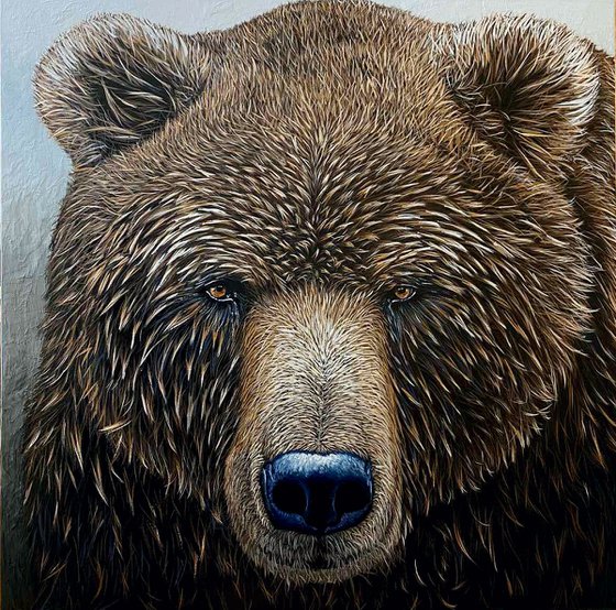 Brown Bear - wild life / wild animal / animalism