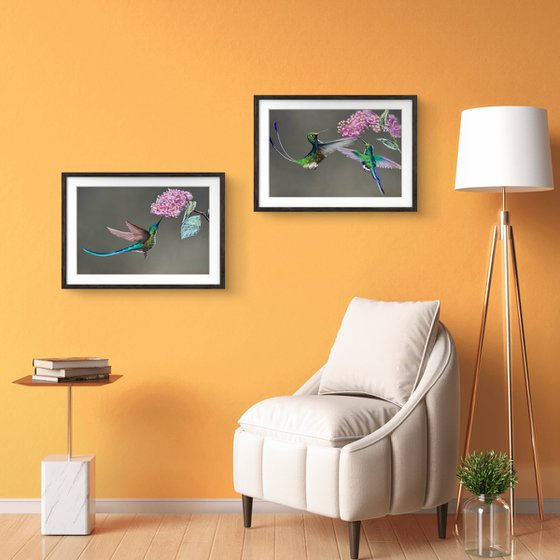 Colibri Flowers Diptych Pastel