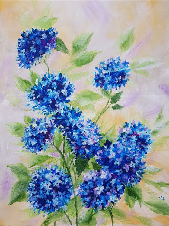 "Blue hydrangeas"