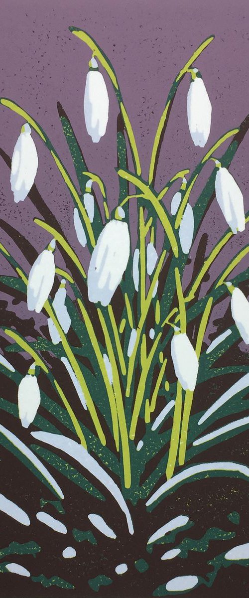 Snowdrop Day by Alexandra Buckle