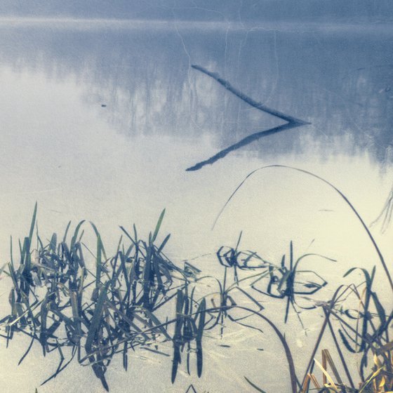 Fog on the lake.