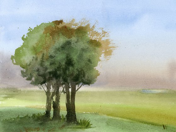 Trees in the field